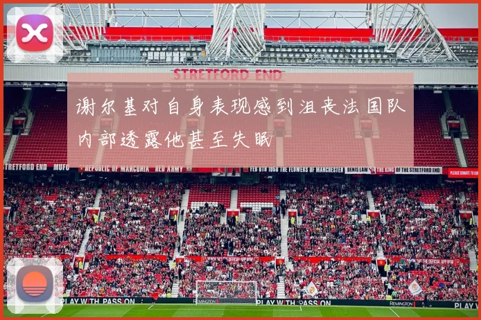 谢尔基对自身表现感到沮丧法国队内部透露他甚至失眠
